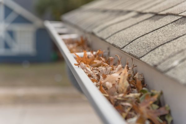 Leaf Barrier Installation in Travelers Rest